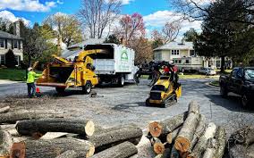 Best Firewood Processing and Delivery  in Dauphin, PA